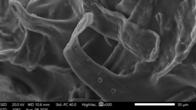 AP19175733 &mdash; Су тазалауға арналған модификацияланған Қазақстанның бентонит сазы мен полимерлер негізіндегі антисептикалық қасиеті жоғары әмбебап полимер сазды композит әзірлеу