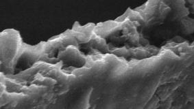 AP19676789 &ndash; Этилен және жүгері крахмалы негізіндегі биологиялық ыдырайтын полиэтилен қаптарын өндіру