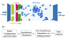AP19679745 &mdash; Сутегі өндірісінің өнімділігін арттыру үшін цианобактериялардың hup-мутанттарын құрастыру және дақылдау технологиясын әзірлеу