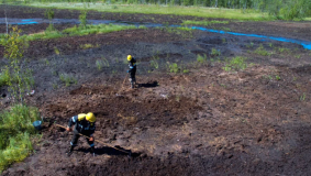 AP19576993 &mdash; Гипераккумуляторлық өсімдіктер мен микоризиялар есебінен ашық тау-кен жұмыстарын жүргізу кезінде бұзылған жерлерді рекультивациялау процесін қарқындату