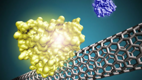 AP23489409 &ndash; Unrevealing the Fundamental basis of soft -glassy Dynamic Correlation and Phase Behavior of Clay nanoparticles with Ionic Polymers