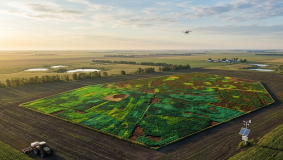 BR24992908 &mdash; Өсімдік шаруашылығындағы агротехникалық іс-шараларды мониторинг құралдары мен жасанды интеллект әдістерінің кешені негізінде қолдау жүйесі (Agroscope)