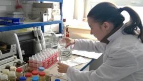 AP25794509 &ndash; Аэрогеофизикалық зерттеулердің нәтижелері бойынша физикалық өрістердің цифрлық модельдерін құру негізінде кенді аудандардың шоғырлануының геофизикалық болжамды-іздестіру критерийлерін әзірлеу