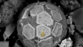 AP09259637 &mdash; Тауар өнімдерін алу арқылы көмірді жағудан күлді кәдеге жарату үшін жоғары тиімді қалдықсыз технологияны әзірлеу