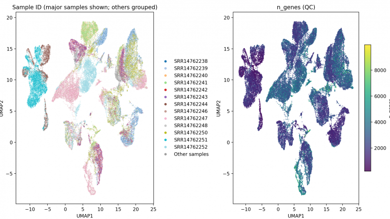 AP22686112 &ndash; Investigation of somatic mutations based on single-cell RNA using machine learning methods in patients with peripheral artery disease