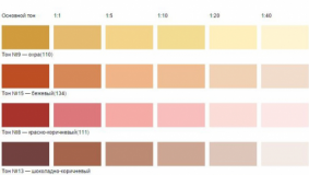 AP08855714 &mdash; Майда дисперсті минералды ұнтақты жүйе негізіндегі жылыуоқшаулағыш жабын