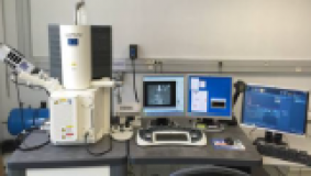 AP09058297 &ndash; Бағалы компоненттерді кешенді алумен ыстықтай мырыштау қалдықтарын кәдеге жаратудың қалдықсыз жаңа технологиясын әзірлеу