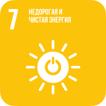 sdg icon2